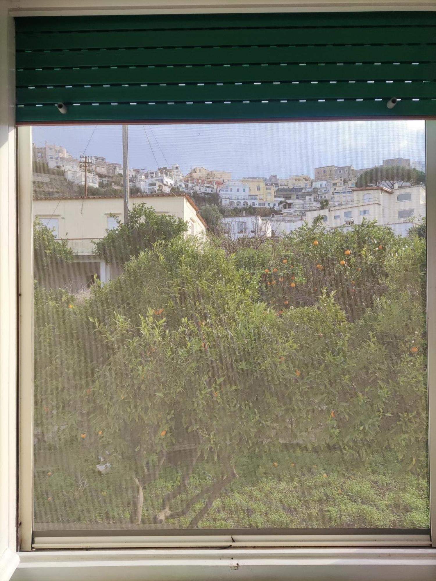 U' Pizzico Bed & Breakfast Capri Dış mekan fotoğraf