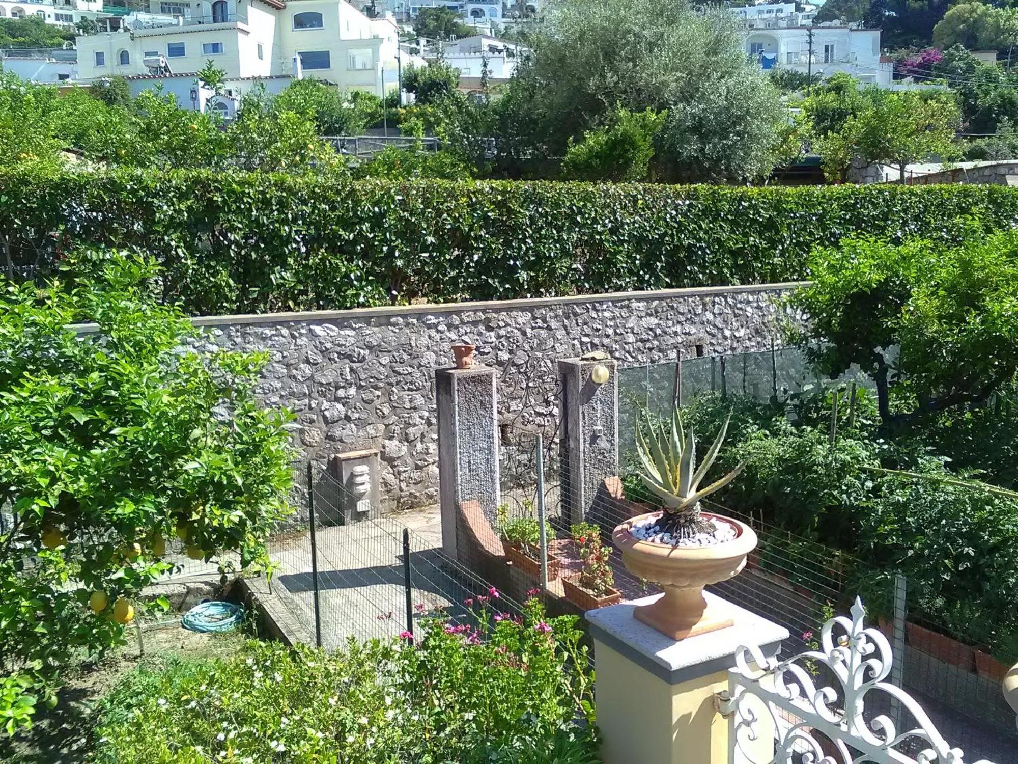 U' Pizzico Bed & Breakfast Capri Dış mekan fotoğraf